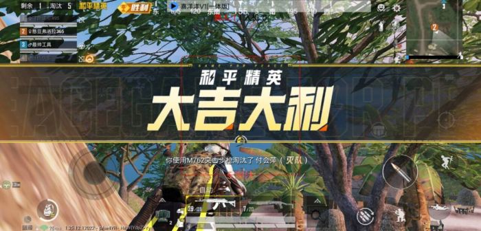 和平精英ios科技 - 苹果端稳定外挂工具